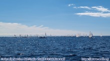 Regata Zonale ILCA - Trofeo Pavarino 2022